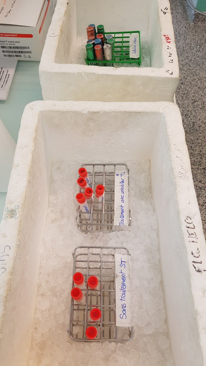 Stéphanie MAS Biotech Decaz tweet media