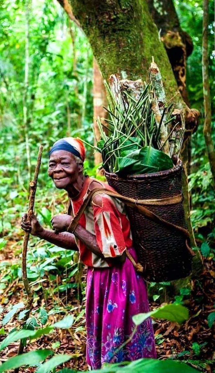 #JIF #IWD 
Investir dans la femme n'a jamais été un problème d'âge mais plutôt de considération et reconnaissance de ce qu'elle vaut.
#forest 
#woman 
#CommunityEngagement 
#communityre