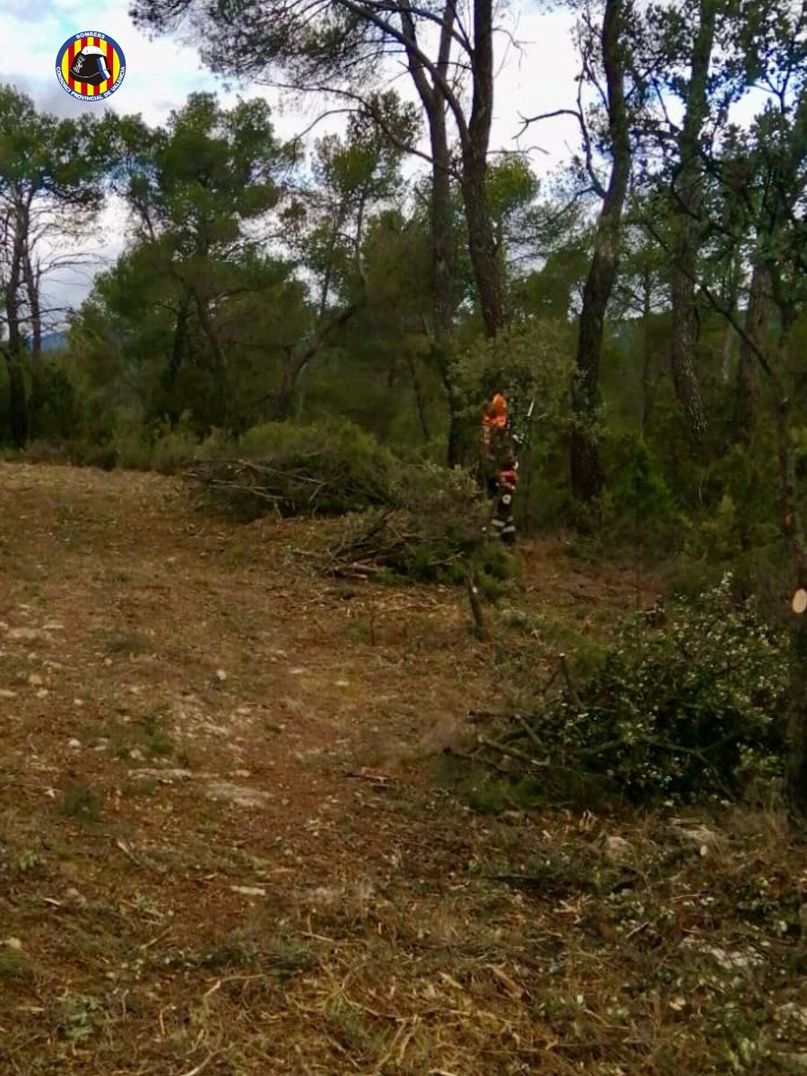 Bombers Consorci VLC tweet media