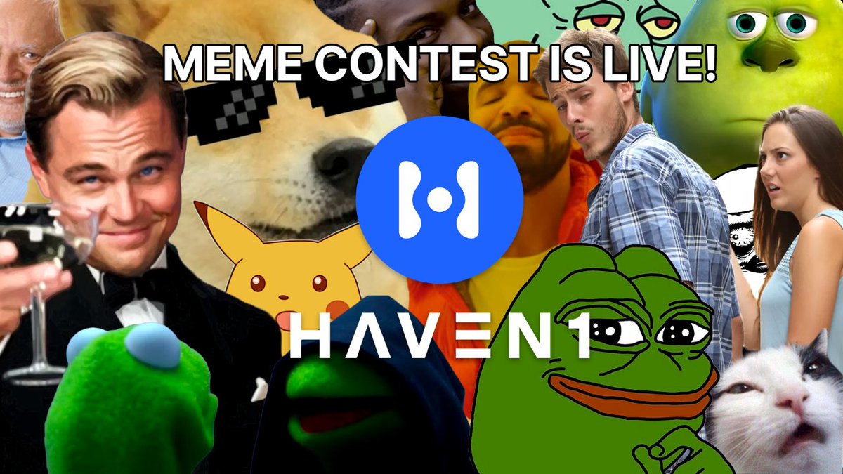 Haven1 🧑‍🚀 tweet media