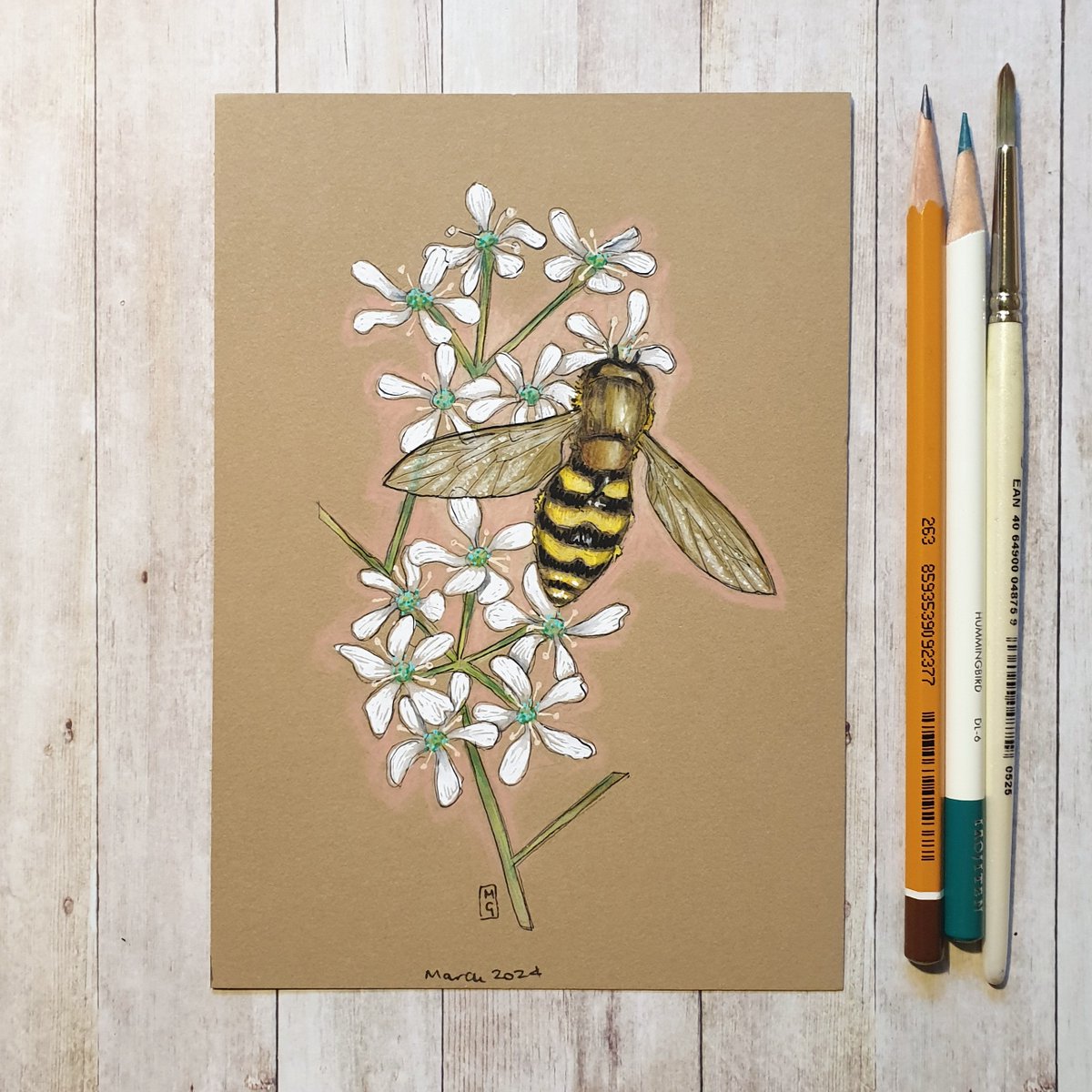 ⭐️New⭐️
Hoverflies are great pollinators.  They get their name from their ability to hover in mid-air.  Many hoverflies mimic wasps or bees, but hoverflies do not sting.
You can find my drawing here
theweeowlstudio.etsy.com/listing/169416…
#Hoverfly #insect #OriginalArt #drawing #TraditionalArt