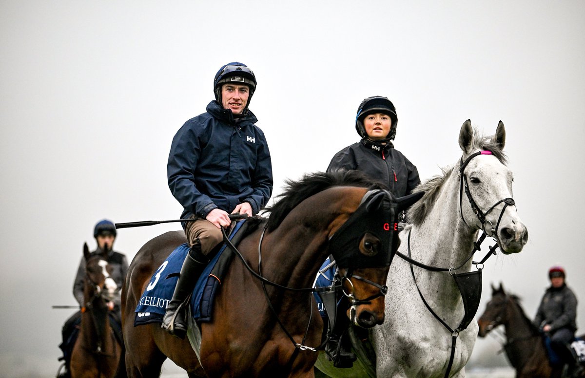 😍 Firefox and Coko Beach on the gallops ahead of the Cheltenham Festival.