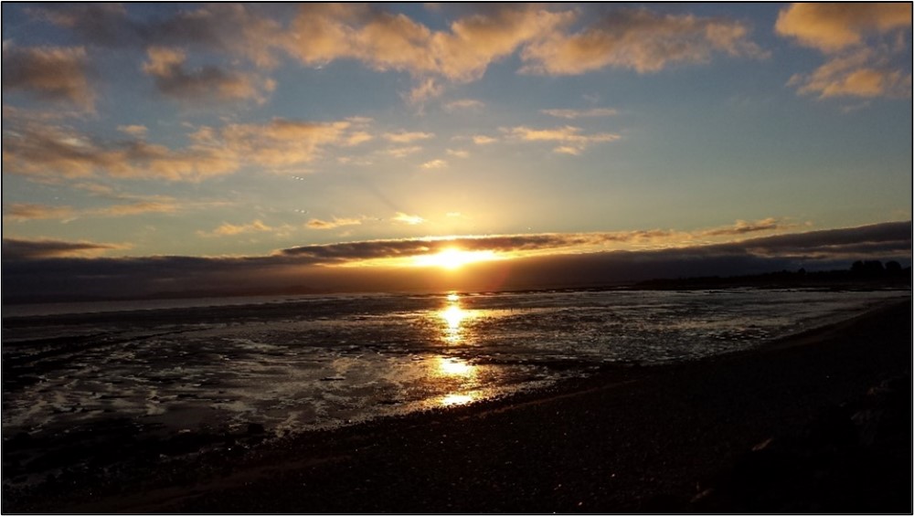 Hinkley Point C - D&amp;S IFCA responds to EDF Consultation on Acoustic Fish Deterrent and Compensatory Habitat.  devonandsevernifca.gov.uk/hinkley-point-…