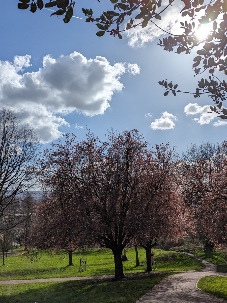 Spring is on its way to Bristol 😊💐💚

Here's a round up of some of the lovely seasonal snapshots of campus and the city that we've been tagged in from members of the Bristol community 🌼🌷

📸s from the following Instagrammers: whatkatydid. next; valfulop; nuraaaly