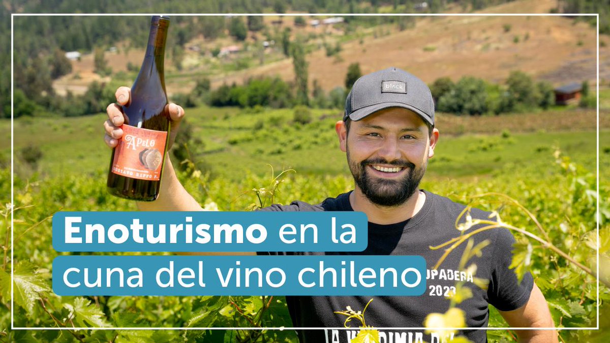 ¡Ven a vivir una experiencia diferenciadora del resto de los valles vitivinícolas del país 🇨🇱🍷! 

Gustavo Riffo lidera la @vinalomasdellahuen en Portezuelo, buscando promover experiencias innovadoras en tours y servicios vinculados al mundo del 🍷. 

i.mtr.cool/peedfcteqq