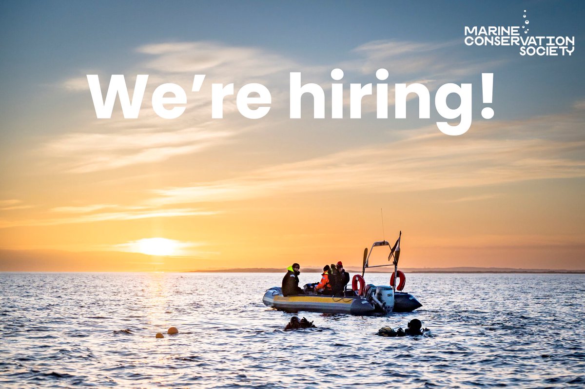 We're looking for a Dornoch Restoration Officer, a 6-month position based in the Dornoch Firth 🦪 an exciting role focused on engaging local communities, delivering events & working closely with @TheGlenmorangie distillery 🥃 Apply today! mcsuk.org/work-for-us/cu…