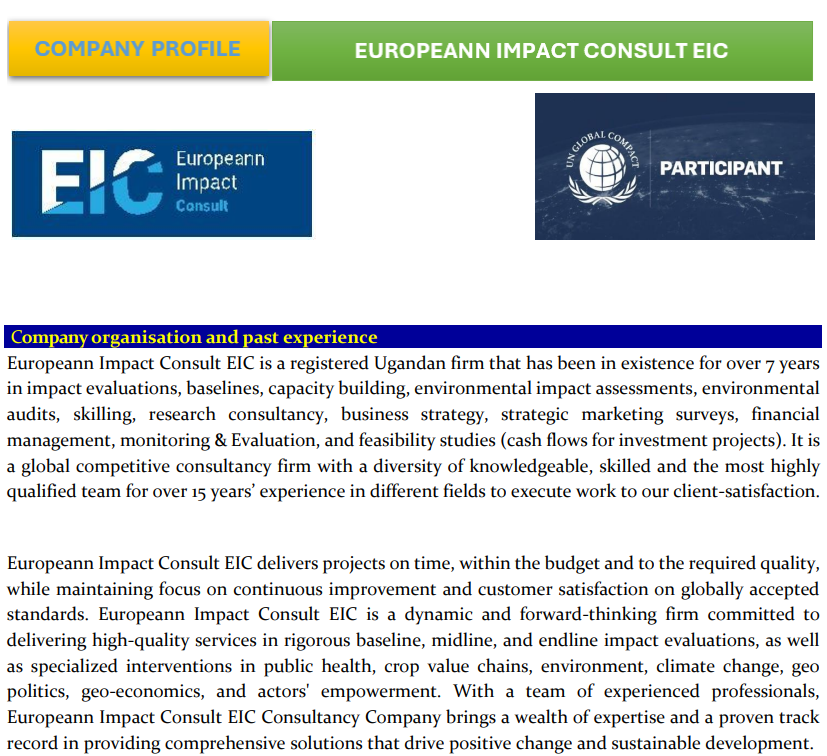 Europeann Impact Consult EIC upgraded services.