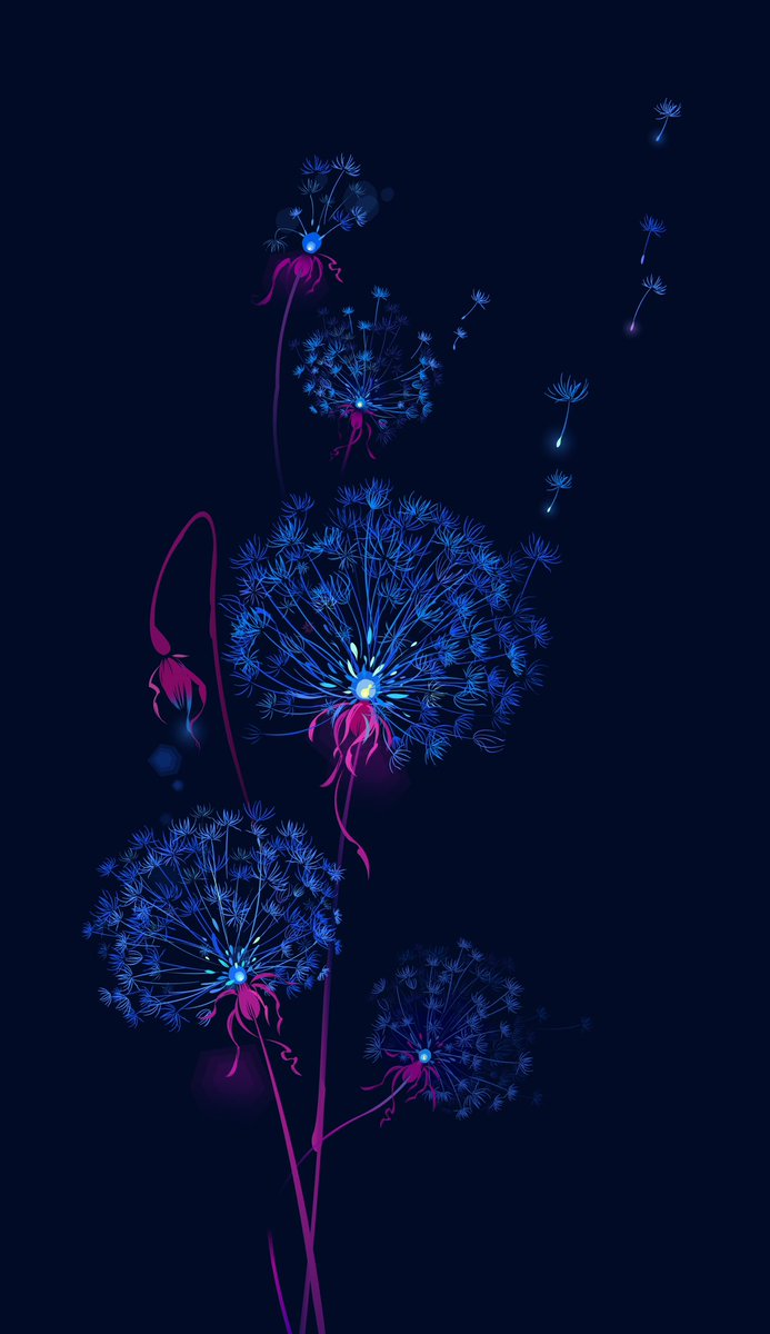 no humans flower simple background blue theme still life fireworks plant general  illustration images