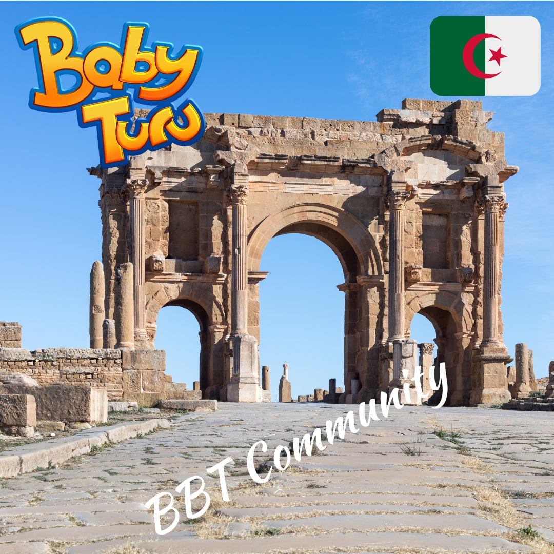 BabyTuruNFT's tweet photo. Dear community,

Check out our Community Countries webpage:
https://t.co/sndMB3hqvL

Some have been sold out, but most are still open for minting and the next is Algeria. 

Have fun exploring the countries and mint some, as we intend to give them some utility in the future 👀🫶 https://t.co/NHgrJIFyf4