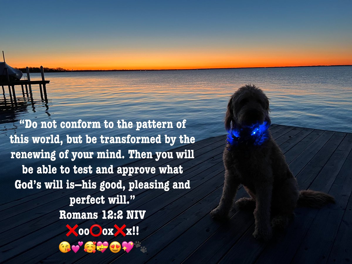 “Do not conform to the pattern of this world, but be transformed by the renewing of your mind. Then you will be able to test and approve what God’s will is—his good, pleasing and perfect will.” Romans 12:2 NIV ❌oo⭕️ox❌x!! 😘💕🥰💝😍💖🐾