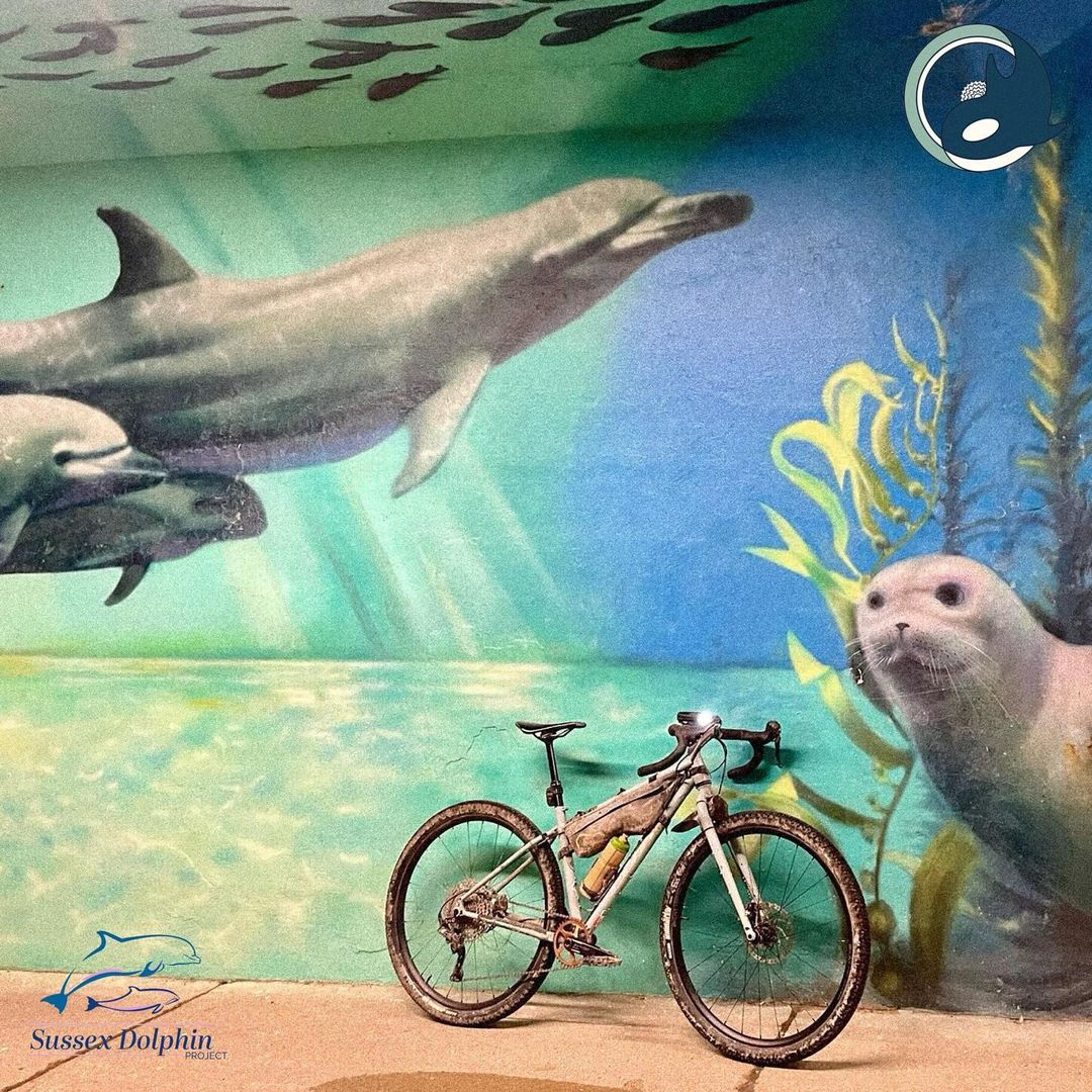 Cotic News tweet media