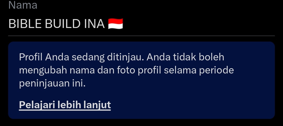 Buat yang nanya kenapa dn nya belum ganti, kami belum bisa ganti ava ataupun dn karena acc ini lagi under review untuk cenblue jadi mohon maaf kalo dn nya masih bible build ina ya 🙏