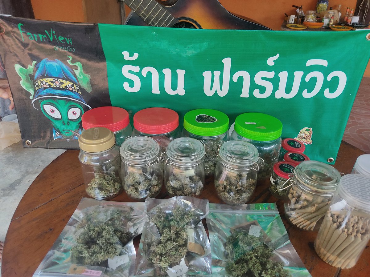 viewkim's tweet image. ดอก og farmview  กรัม 80 แยกมีราคาลด
โปรพันลำคิงไซล์ใช้เศษดอกทางฟาร์ม
1000 บาท 35 ตัว 
ปลีกตัว 35 บาท
line viewson5x ส่งฟรีทั่วไทย
#กัญชา #กัญชาลำปาง #Oscars #กัญชาออแกนิค #กัญชากรุงเทพ #กัญชากทม #Oscars2024 #AREA52inMonterrey #ARLECCHINO #BamBam #แพทริค #ARLECCHINO #Oscar2024