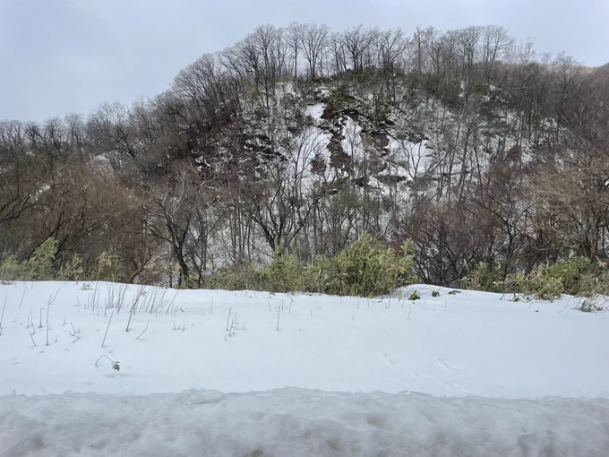 登別地獄谷を見てきたよ!硫黄のにおいがクセになる。紅葉谷から見える濁川と野生動物が色々居そうな景色が良さげだった。 