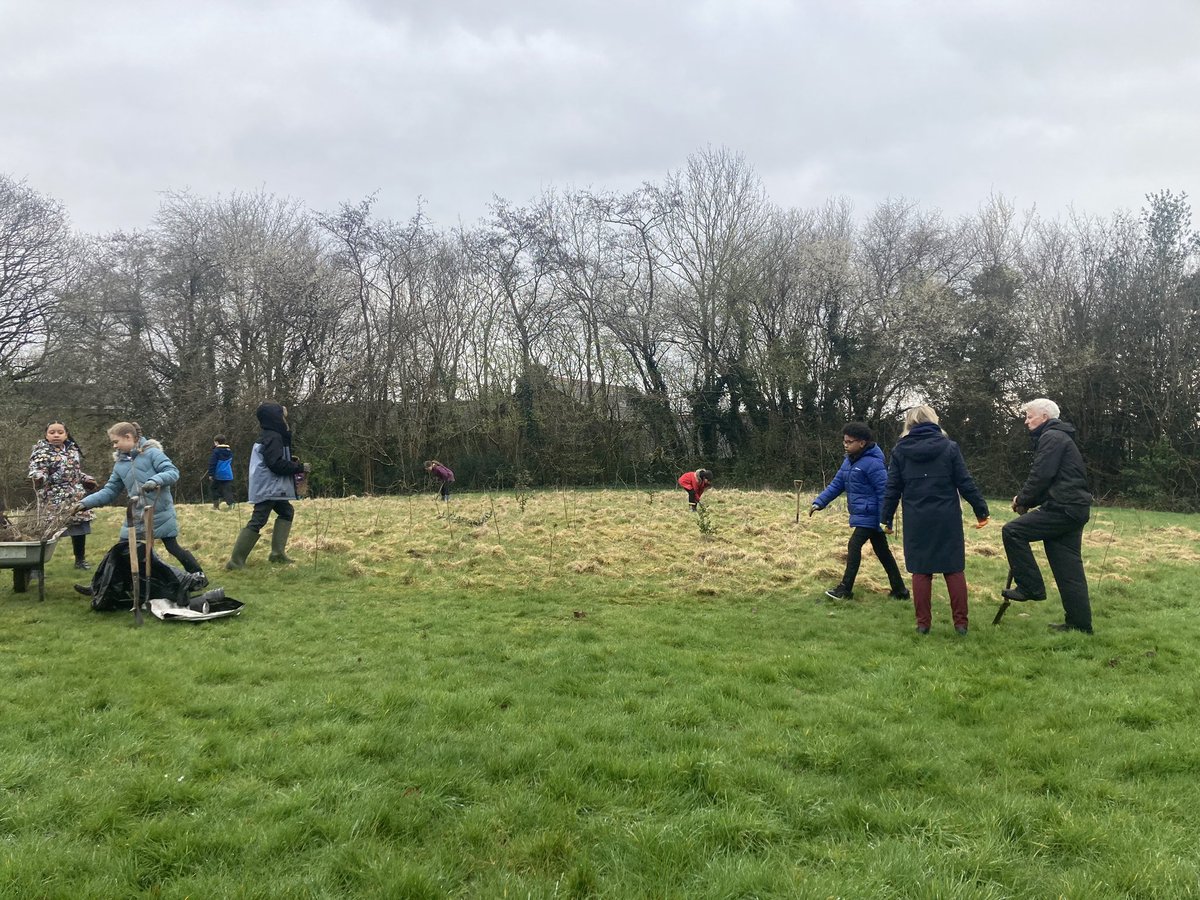 ThornhillPS's tweet photo. A brilliant morning for the eco committee planting trees with @CoedCaerdydd. We think we planted about 100 saplings to help make a new woodland area! @EcoSchoolsWales #TPSethical https://t.co/RaYWcQG7Ox