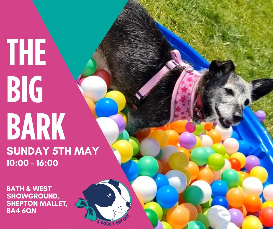 Get ready for The Big Bark! 🐾 Experience the best Doggy Day Out close to #SouthDevon at this fantastic event 🐶 Find out more about The Big Bark, taking place on the 5th May in this guest blog post 👇 visitsouthdevon.co.uk/blog/read/2024… @ADoggyDayOut