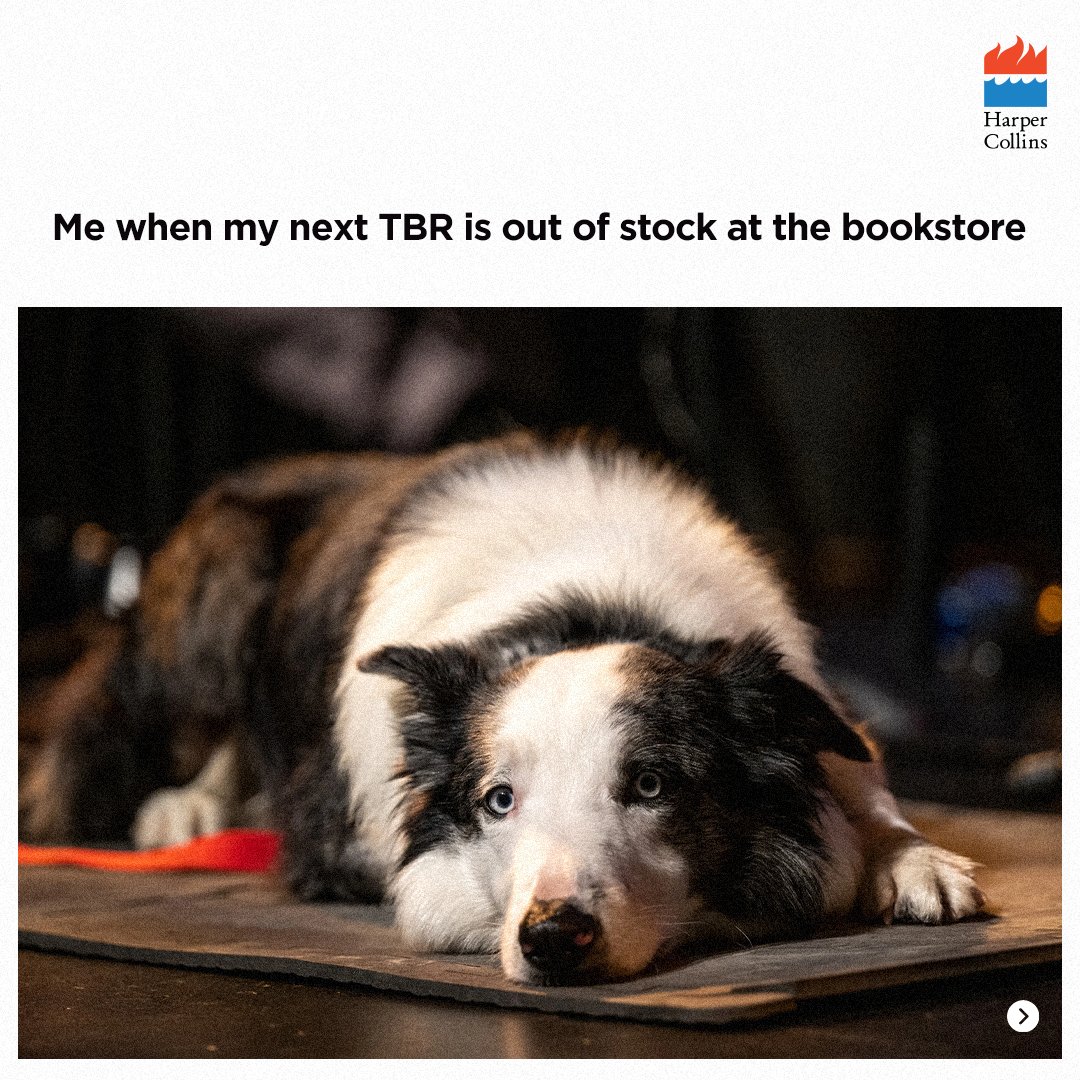 HarperCollinsIN's tweet photo. Which one do you find the most relatable?
#Oscars #Oscars2024 #AcademyAwards #ReaderMemes #JustReaderThings #ReadersCommunity #Trending #READWithHarperCollins https://t.co/v1Uxyfmt8a
