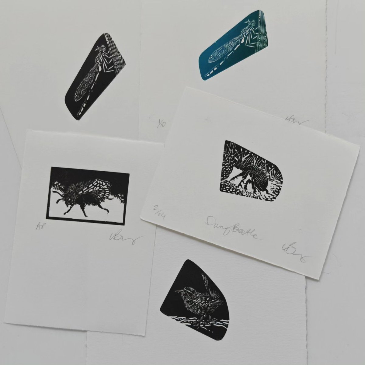 LynnBaileyPrint's tweet photo. 20+ items to list or re-list for my Etsy shop.... That's over 200 photographs to edit. I might be some time. https://t.co/mUfsTzNdlt
#printmaking #behindthescenes #etsy #itsnotallfun #drypoint #collagraph #etching #woodengraving #silkaquatint #photoetching #monoptint #watercolour https://t.co/bUmwlDoJB4