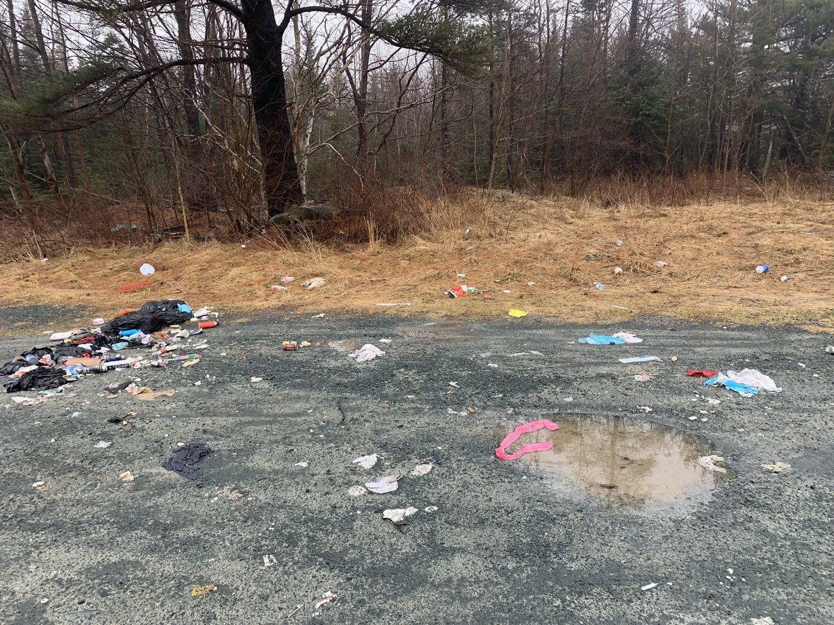 A nice mess to clean up on our corner lot at Waverley Road. You can park, but it isn’t a Dump. If I could find something with a name on it, I would return it to them. <a href="/ns_environment/">NS Environment and Climate Change</a> <a href="/TonyMancini_NS/">Councillor Tony Mancini</a> <a href="/Dartmouth_Tim/">Tim Rissesco</a>