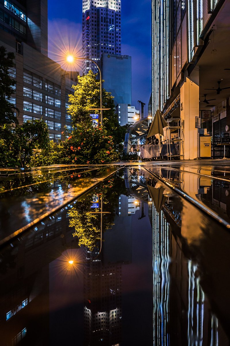 Embracing the serenity of rainy nights and their reflective charm.

#loves_reflections #symmetryhunters #singapore #seemycity #nightphotography