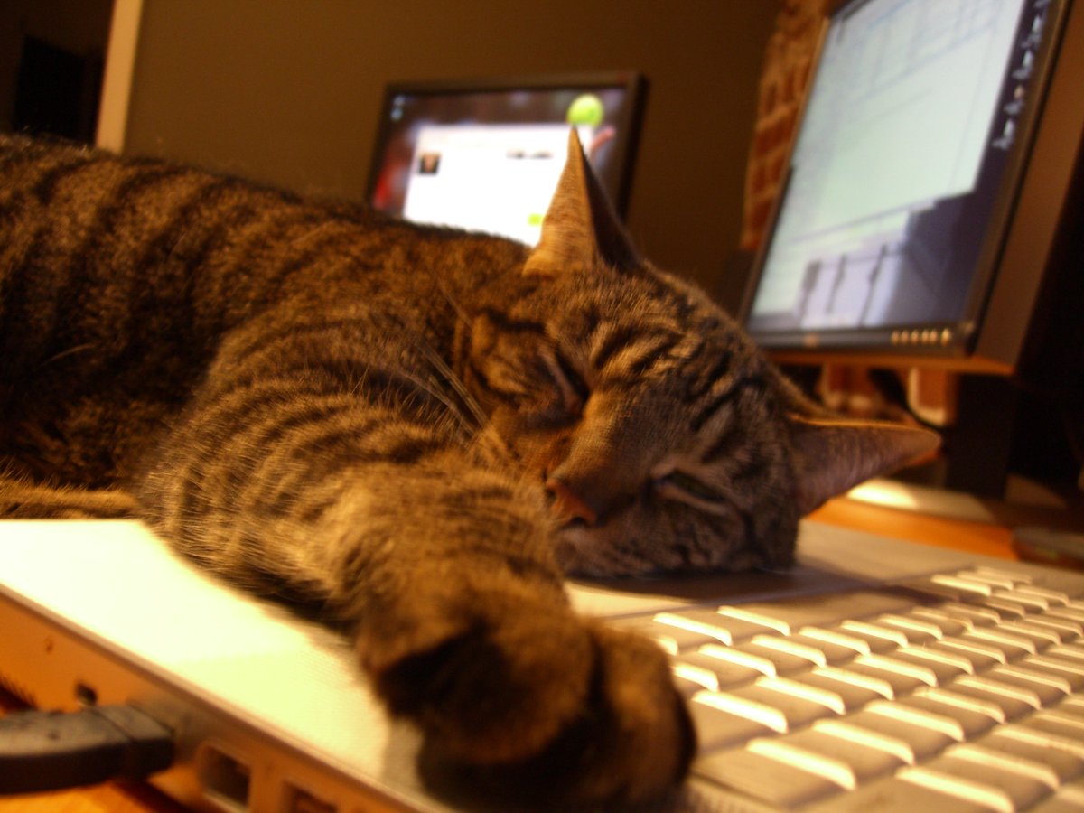 stevechen's tweet photo. @pajamastkn @Jr_Ryan1 @YouTube @jack Here's the photo of Pajamas taking a nap on top of the Macbook Pro used to create YouTube.  I know today must be a very meaningful day for him.  He was such a good cat.  His favorite toy was a token; he loved and loved playing with tokens. https://t.co/ZsUUg71d5r