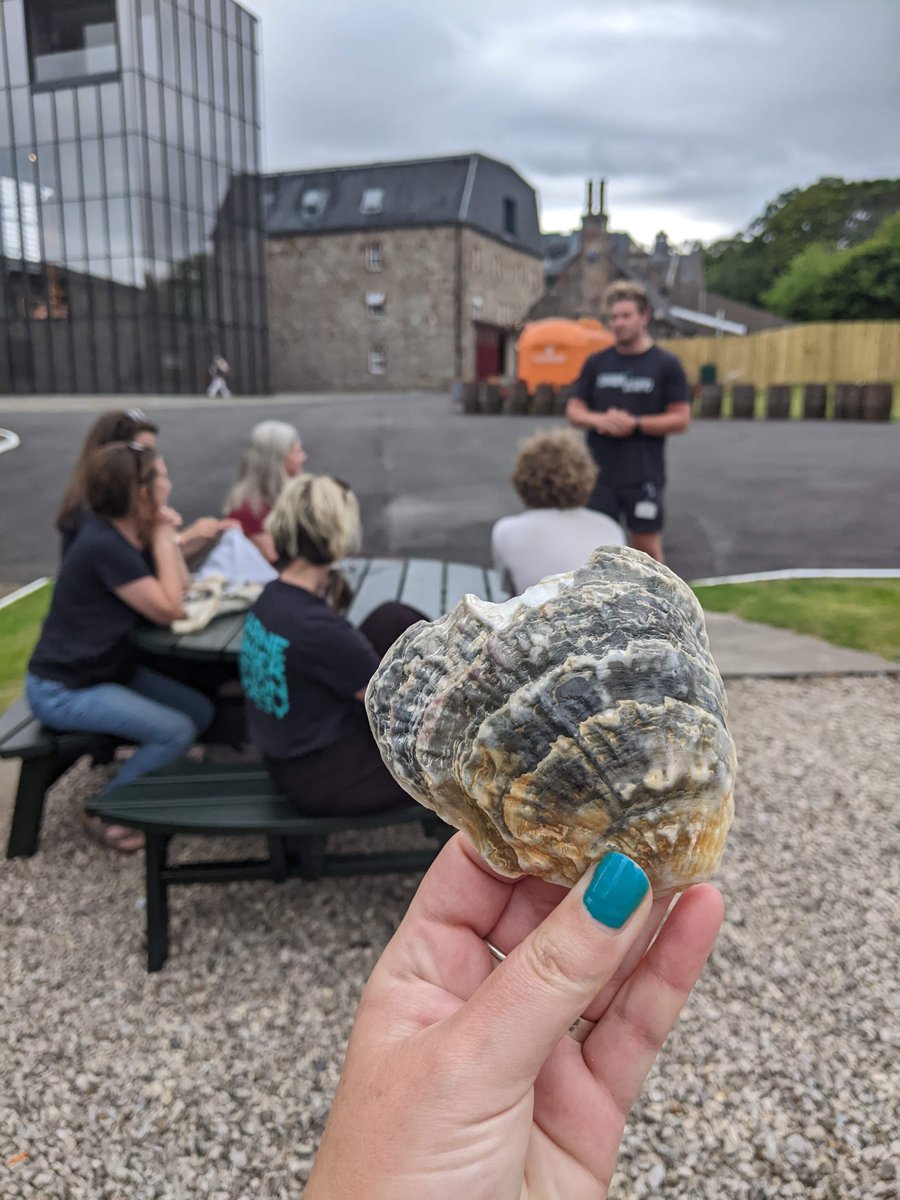 Job Alert! Dornoch Restoration Officer - 6 month position working as part of the amazing DEEP Oyster Restoration team in Tain! Apply here: mcsuk.org/work-for-us/cu… #CommunityEngagement #Restoration #Education #VolunteerManagement #Events Please share :)