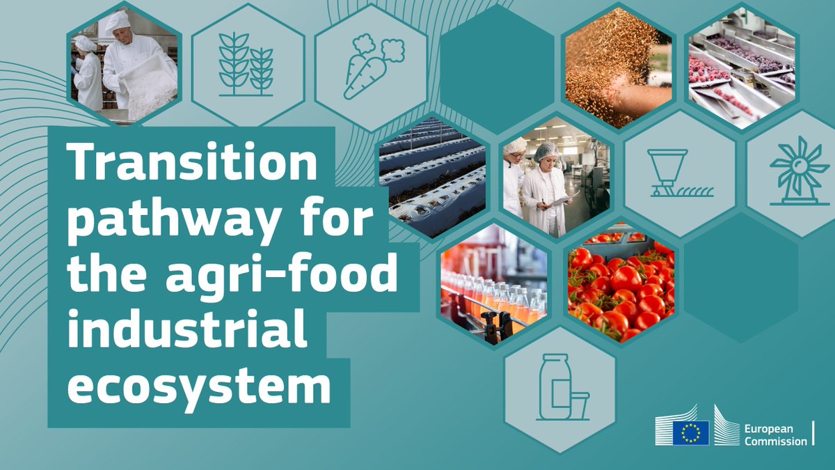 🍽️ The #TransitionPathway for the #EUAgriFood Industrial Ecosystem is out 👇 europa.eu/!kFPDY3 Examples of priorities for the middle of the value chain are: 🤝 boosting collaboration ✅ a social and fair food chain ♻️ circular business models 💻 technology uptake