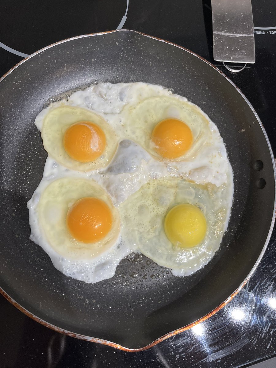 yobg (@yobg_gm) on Twitter photo 3 local farm eggs vs. 1 mega farm egg 3 local farm eggs vs. 1 mega farm egg