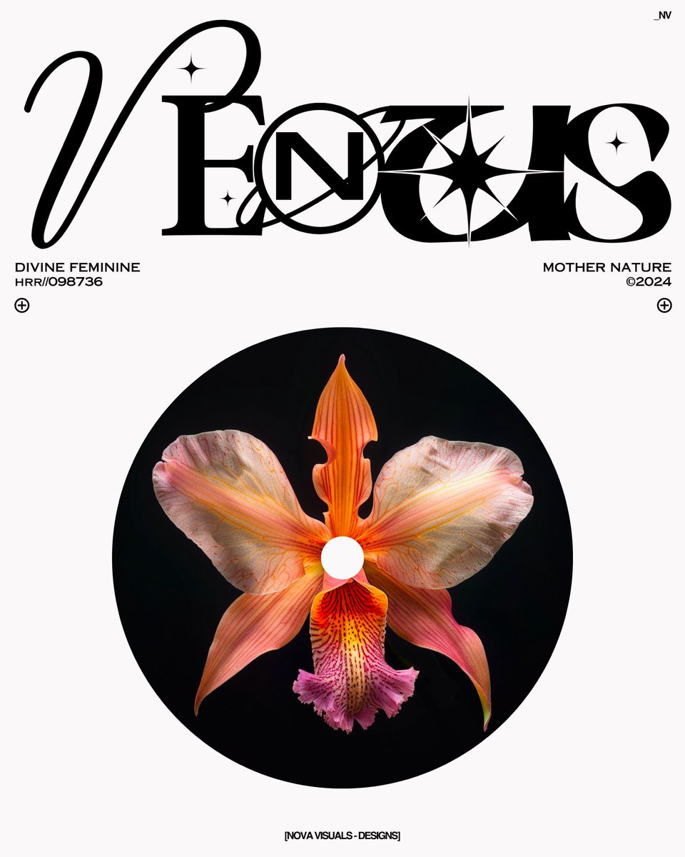 NOVA VISUALS tweet media