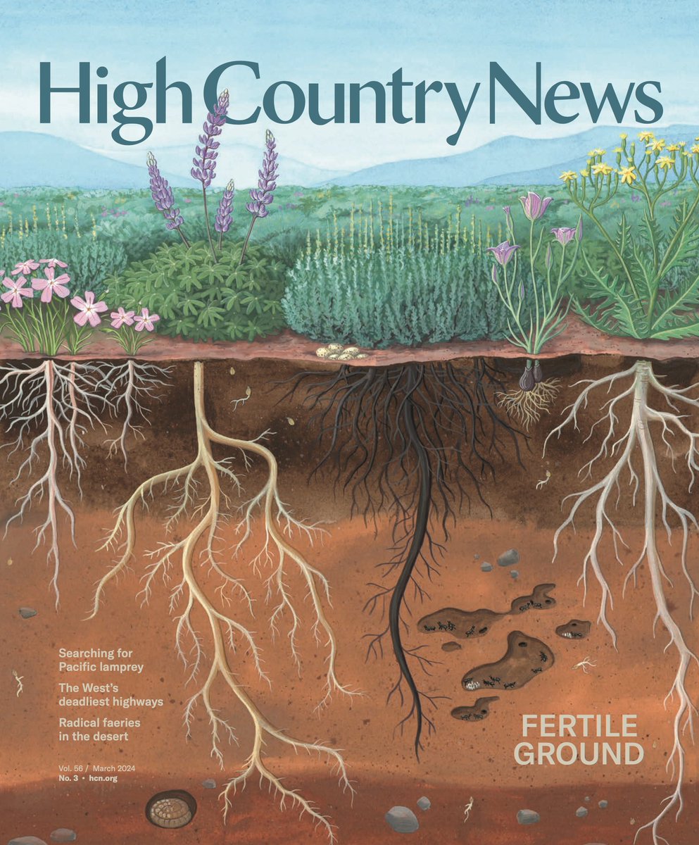 Jennifer Sahn 🌻 (@throwin_shadows) on Twitter photo Check out our latest issue, blooming with stories from <a href="/j_woolington/">Josephine Woolington</a> <a href="/mileswgriffis/">Miles W. Griffis</a> <a href="/natmesanash/">Natalia Mesa</a> <a href="/emilywithnall/">Emily Withnall</a> <a href="/ce_tracey/">Caroline Pre-order Salt Lakes Tracey</a> <a href="/sftrent/">Sarah Trent</a> Kenji C. Liu Geri Doran @RakshaVasudevan <a href="/Land_Desk/">The Land Desk</a> and this incredible cover by <a href="/AlexBoersma_Art/">Alex Boersma</a>. hcn.org/issues/56-3/ Check out our latest issue, blooming with stories from <a href="/j_woolington/">Josephine Woolington</a> <a href="/mileswgriffis/">Miles W. Griffis</a> <a href="/natmesanash/">Natalia Mesa</a> <a href="/emilywithnall/">Emily Withnall</a> <a href="/ce_tracey/">Caroline Pre-order Salt Lakes Tracey</a> <a href="/sftrent/">Sarah Trent</a> Kenji C. Liu Geri Doran @RakshaVasudevan <a href="/Land_Desk/">The Land Desk</a> and this incredible cover by <a href="/AlexBoersma_Art/">Alex Boersma</a>. hcn.org/issues/56-3/
