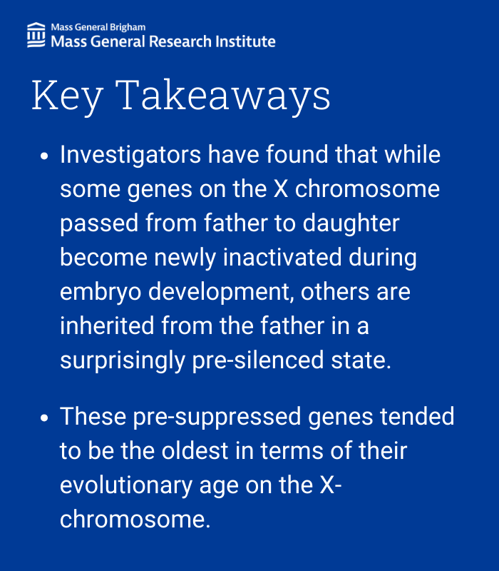 In a recent @MolecularCell publication, researchers from @MGHMolBio and colleagues discovered new insights into the silencing of X-chromosome genes passed from fathers to daughters. Read more: massgeneral.org/news/press-rel… @XistHarvard #genetics #chromosome