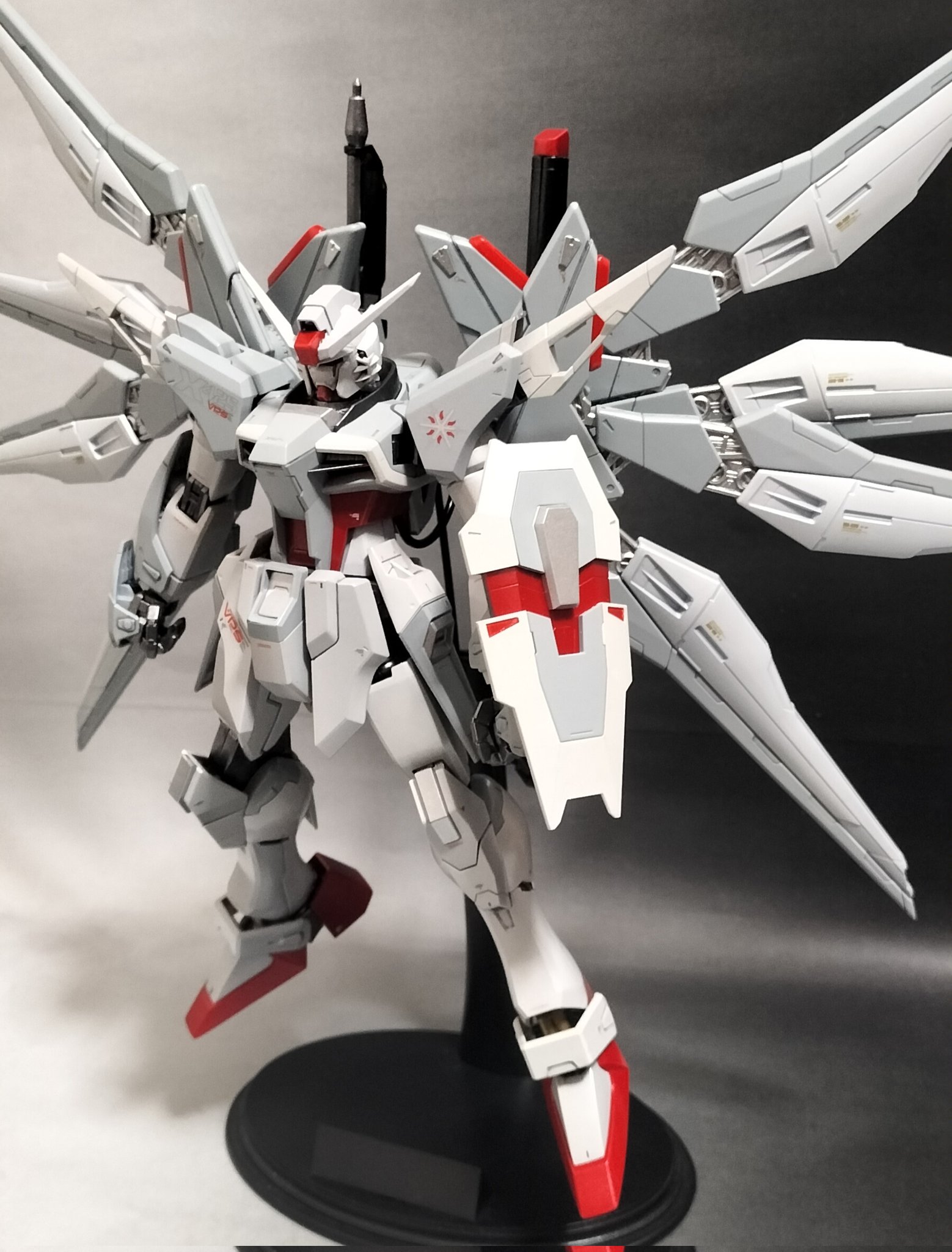 ガンプラ「MG 機動戦士ガンダムSEED ASTRAY 天空の皇女