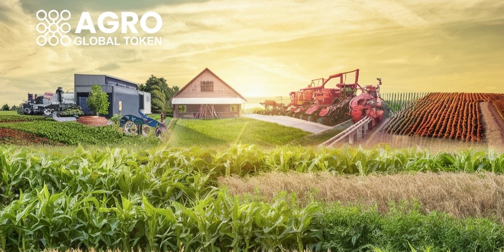 Our agricultural lands are like a part of our family. 
We care for, grow and protect them with love. 🌱💚

#agro #btc