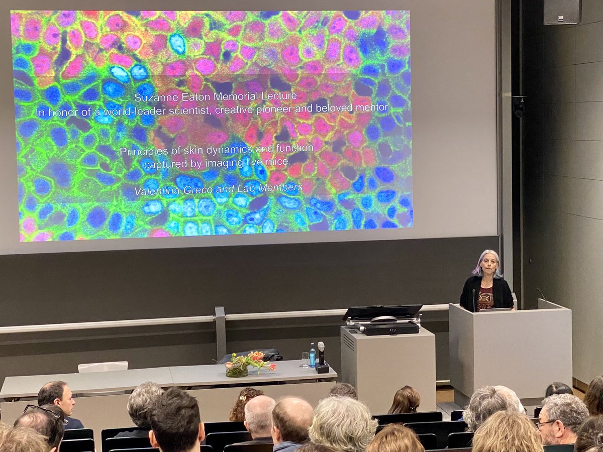 As part of the new „Suzanne Eaton Memorial Lecture,“ we welcomed @ERC_Research President @mleptin for discussing the path to success for women. Today, @valentatormenta, a professor @YaleMed and former PhD student in the lab of Suzanne Eaton, talked about her research.