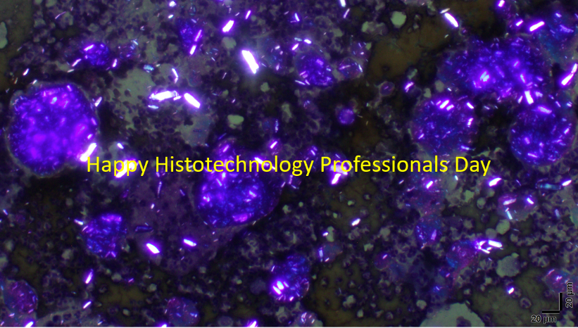 Happy #HistotechnologyProfessionalsDay <a href="/UTSW_PediPath/">Pediatric Pathology at UT Southwestern</a> <a href="/UTSW_Pathology/">UTSW Department of Pathology</a> <a href="/childrens/">Children's Health</a> @UTSWNews