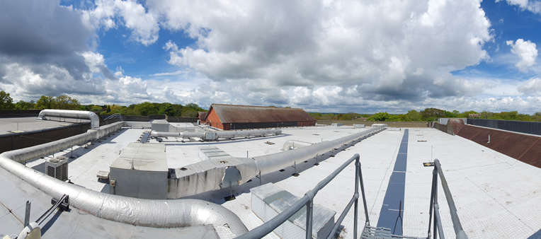 Cleankill Pest Control tweet media