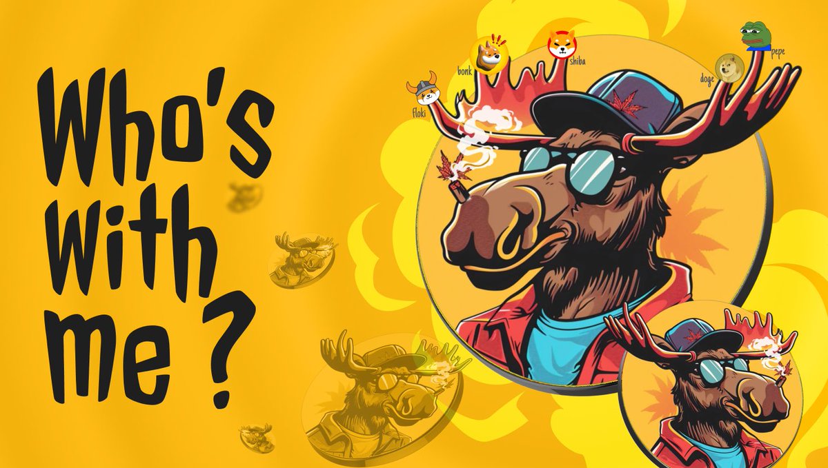 Moose tweet media