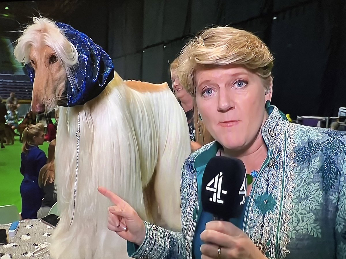 “Diana and Camilla hated each other”

What’s this then