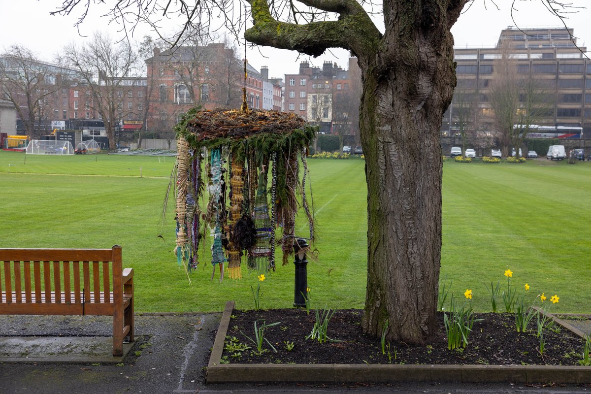 Trinity College Dublin tweet media