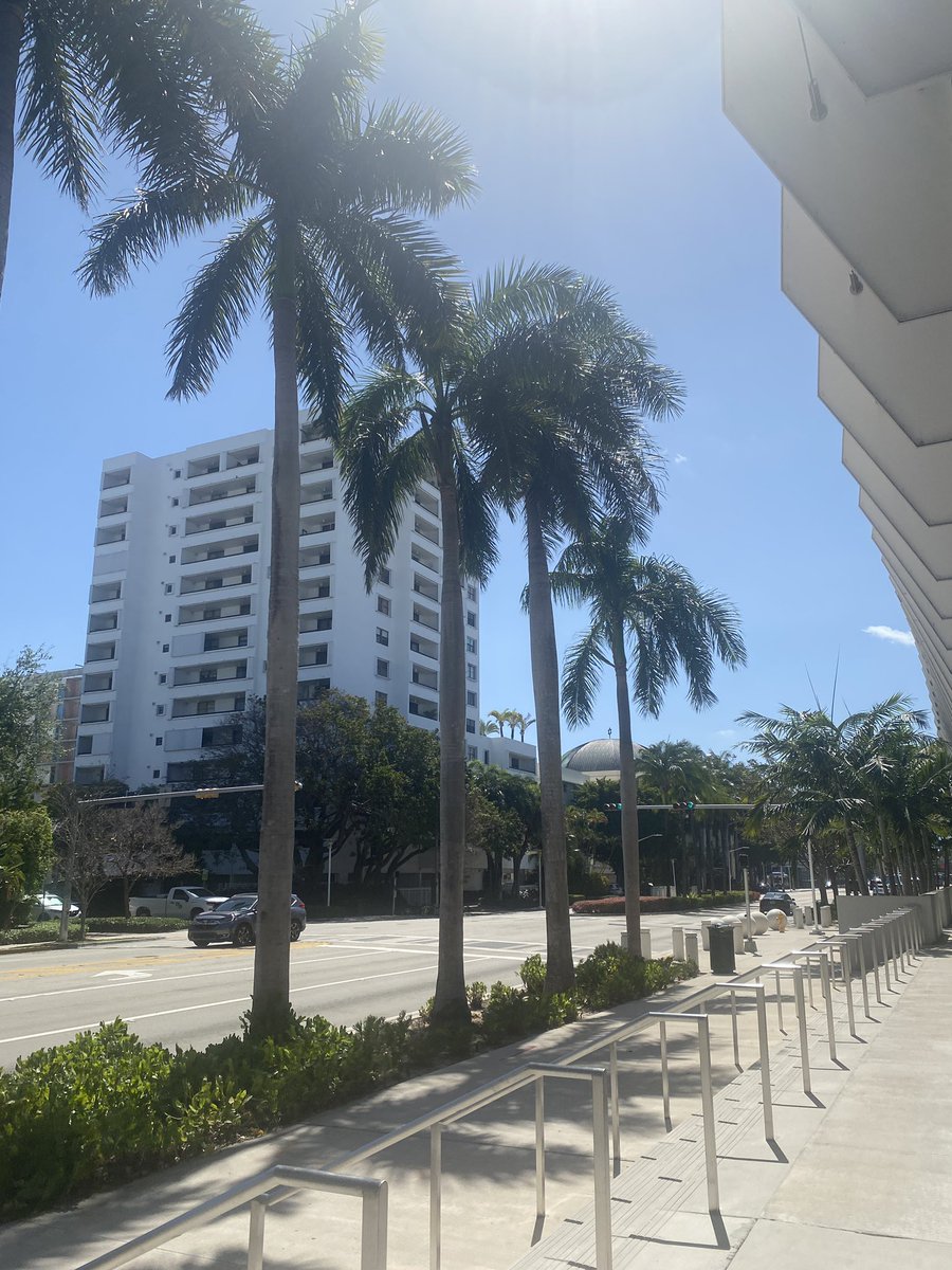 RachelKenty's tweet photo. Hello again, Miami! ☀️ 🌴 https://t.co/plrF1FtVMA