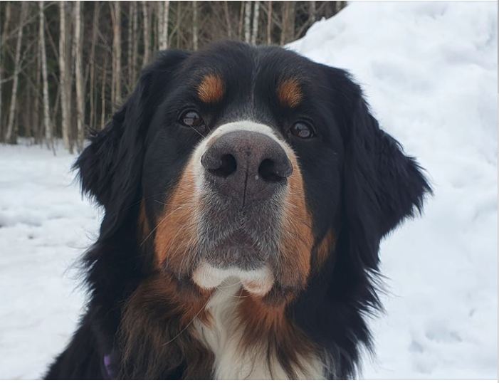KorhonenMla's tweet photo. Mietin, että mitä tuo #Tuula tuolla rähjää satamaduunareille, miksi ei ei ole itse töissä?
Ettei vain myöhästyisi? Ainakin julkisuushakuinen se on?
#työelämä #lakot #samatalakko #ahtaajat #PainavaSyy #kaveriaeijätetä https://t.co/5Fo5Khrb9u