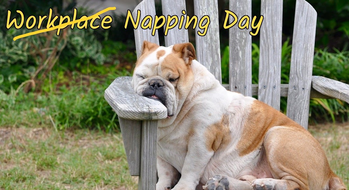 Wait!  It's not Workplace Napping Day...don't do that.  It's #NationalNappingDay, National. 
#nothingbetterthanagoodnap #justnotatwork