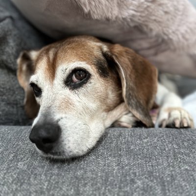 Jennifer Cabe tweet media