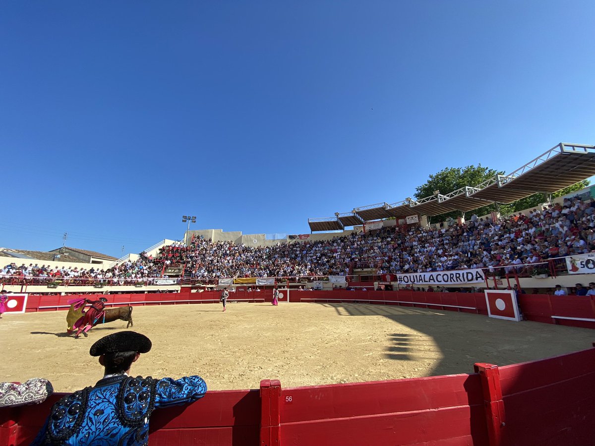 #Savethedate J’ai le plaisir de vous annoncer que nous organiserons à nouveau la novillada de la #Romeria de #Mauguio le samedi 1er juin ! Cette novillada sera composée de 6 novillos français et le cartel sera annoncé dans les prochaines semaines