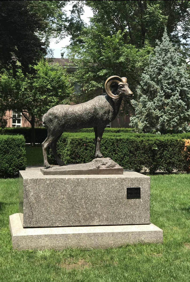 Chase Halfkenny tweet media