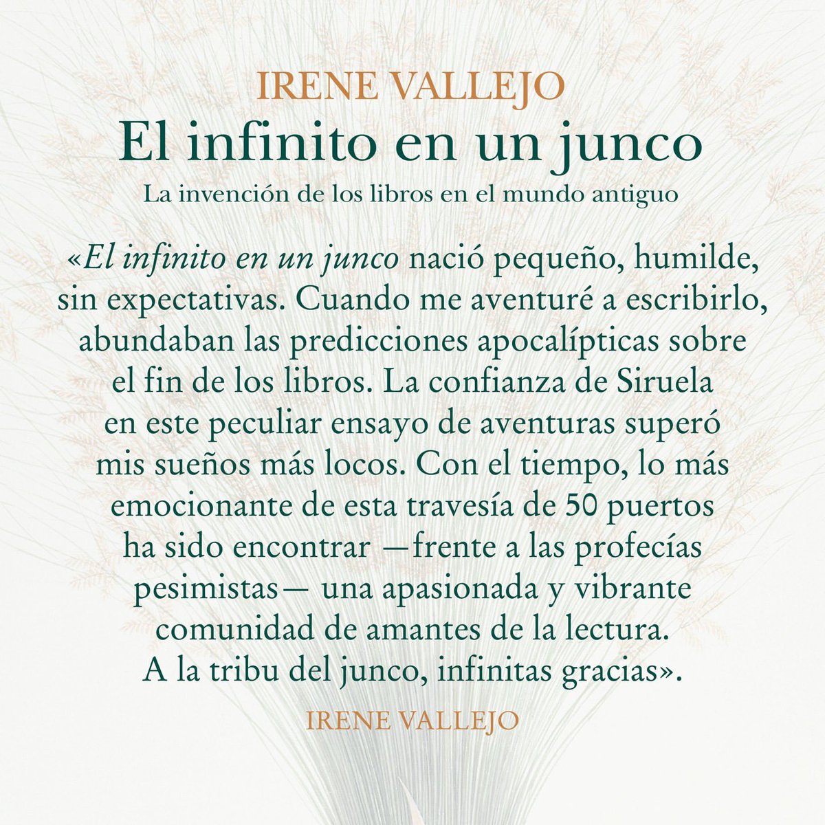 De la mano de mi tribu del junco, el libro acaba de atravesar el umbral inaudito de las cincuenta ediciones. Gracias, mi gente juncal, por hacer que lo impensable se vuelva imparable. Amor infinito 🌾🌾🌾🌾🌾 @edicionesiruela #ElInfinitoEnUnJunco