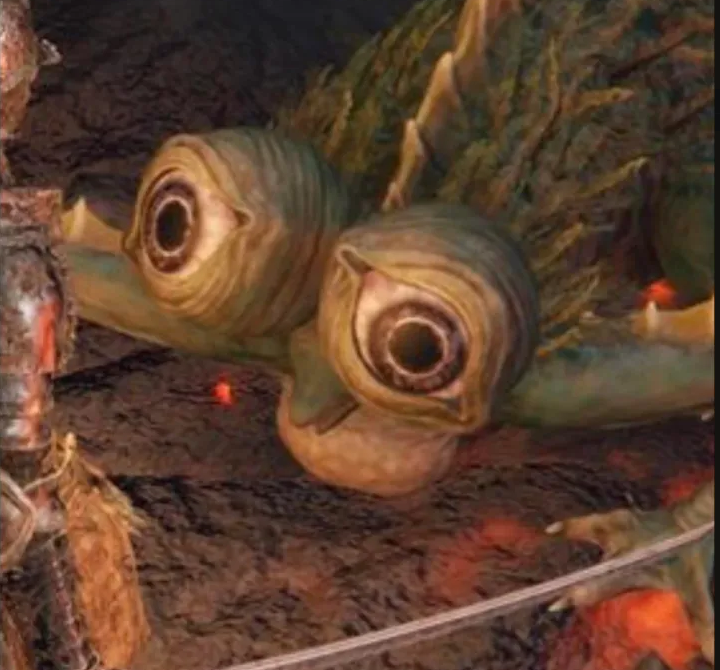 ElNull_'s tweet image. Hoy toca jefe tocho tocho en el Elden Ring pero bueno, Margit cayó a la primera asi que este no nos va a costar nada 🤡
 A ver si vamos a por la segunda Uchigatana y probamos dual wield que tenemos que reventar a los jefes.  

En 30 min, donde siempre ➡️twitch.tv/elnull_⬅️