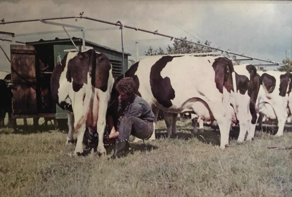 'We fokken ook op gezonde uiers, gezonde klauwen en vruchtbare en stevige koeien'

Boer Ben vertelt over 'dubbeldoel' koeien. Enig idee wat hiermee bedoelt wordt? Lees mee!👇

valleiboertbewust.nl/de-dubbeldoelk…