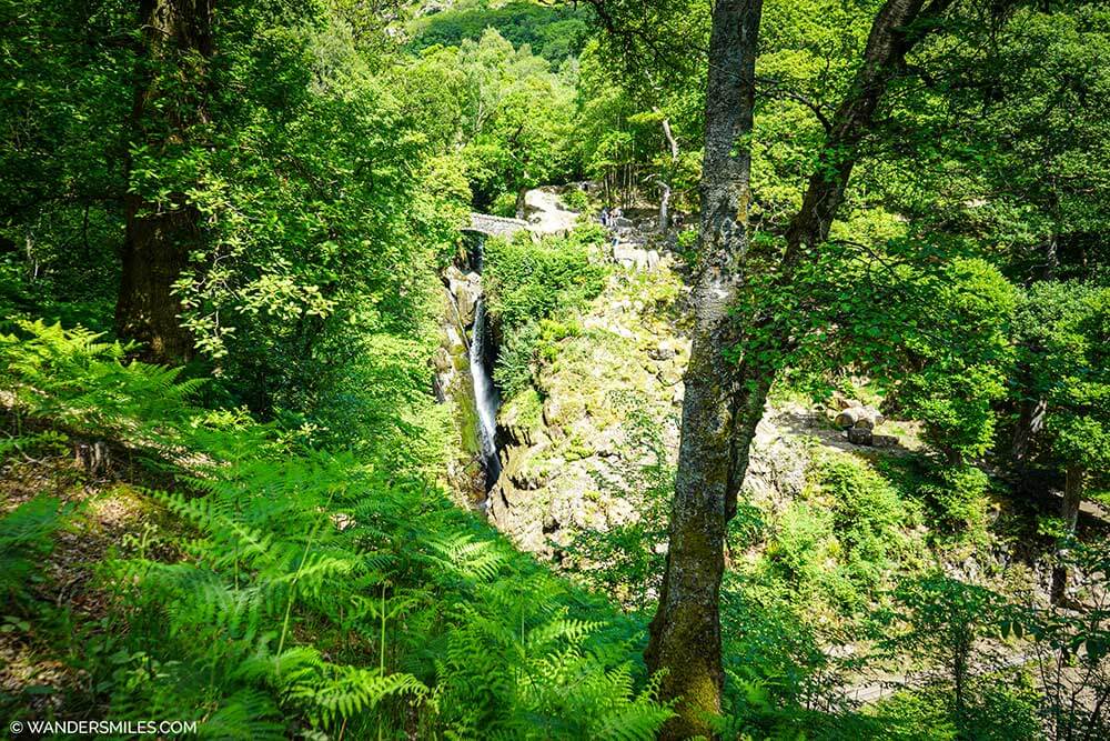 wandersmiles's tweet image. 𝗡𝗘𝗪 𝗕𝗟𝗢𝗚 🇬🇧 bit.ly/UllswaterLD
Discover the best things to do around Ullswater #LakeDistrict | Walk Ullswater Way and Aira Force. Explore historic sites. Enjoy kayaking and SUP on the lake! Ready to go?

#ullswater #visitlakedistrict @LakesCumbria @lakedistrictnpa