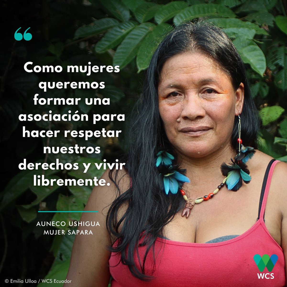 WCSEcuador's tweet photo. #WeStandForWildlife 🐾 | #AunecoUshigua, es lideresa de la Comunidad de #Llanchamacocha, ella participó en el Encuentro de mujeres #Saparas y nos cuenta su sueño al conformar la primera asociación de mujeres de esta nacionalidad. 🧡💜✊

🖐️ #JuntosPorLaVidaSilvestre 💚💙 https://t.co/8pYCgLZFnb